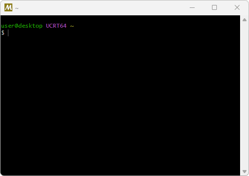 The MSYS2 window that opens after the installer finishes